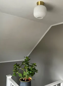 Vanja Ø20 plafond