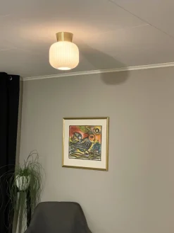 Vanja Ø20 plafond