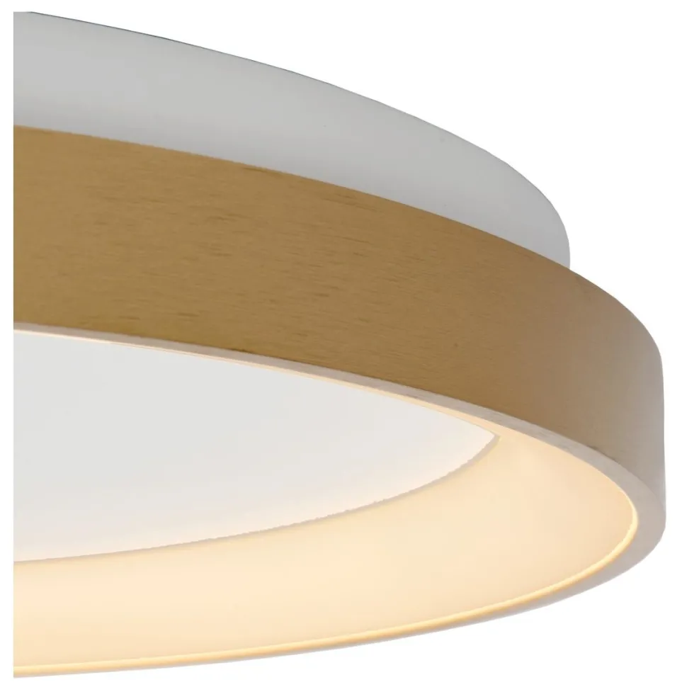 Vidal Ø48 plafond