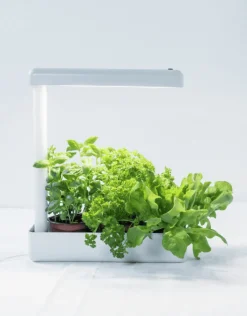 Växtbelysning Herby