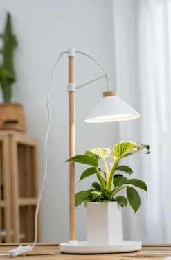 Växtbelysning Lily