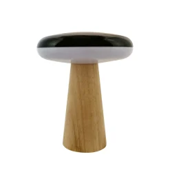 2 Ways 25cm portabel