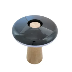 2 Ways 25cm portabel
