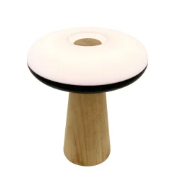2 Ways 25cm portabel