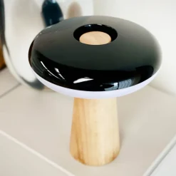 2 Ways 25cm portabel