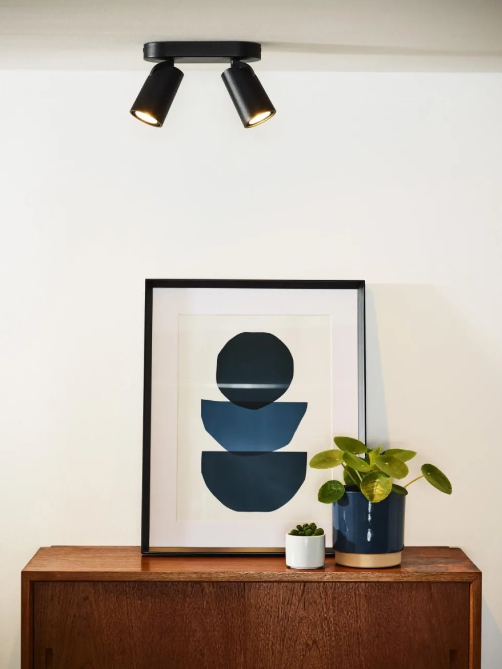 Xyrus 2 spotlight