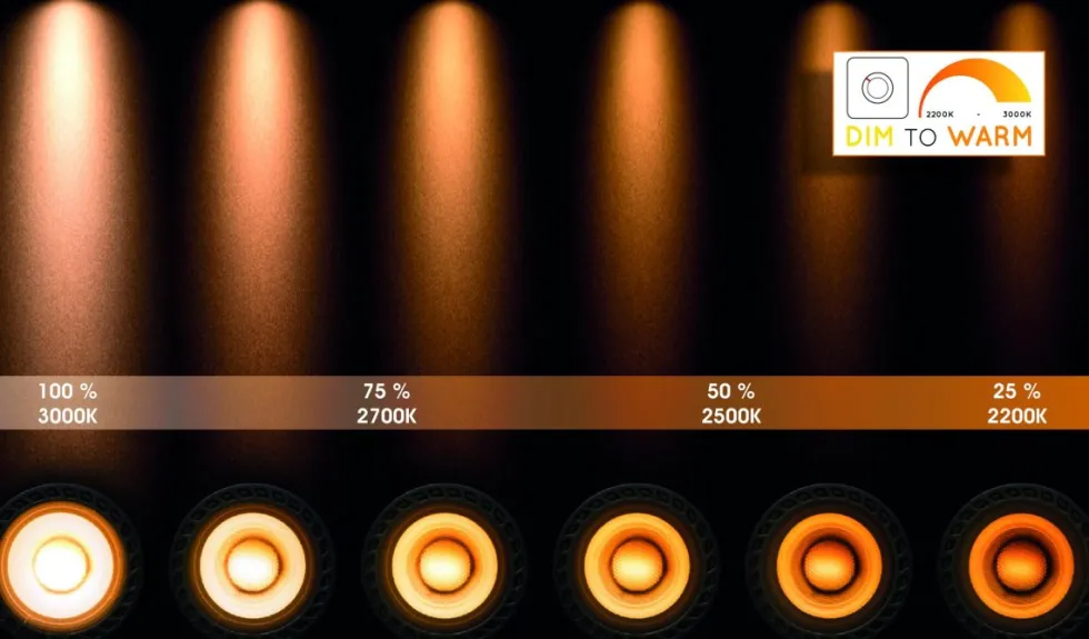 Xyrus 2 spotlight