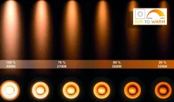 Xyrus 2 spotlight