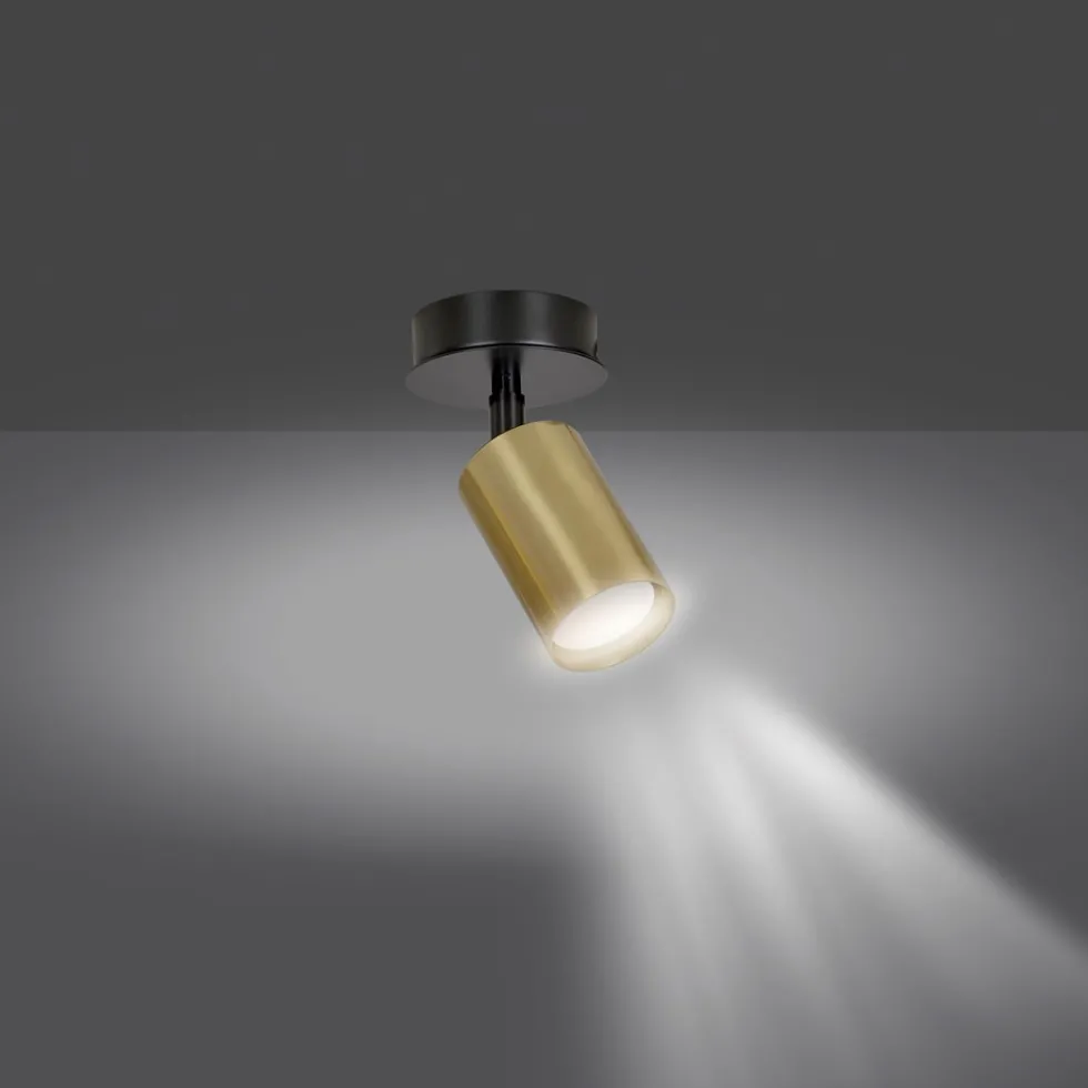 Zen spotlight